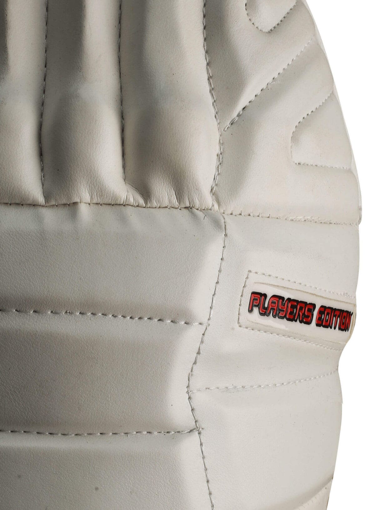 CA PRO Player Edition 15000 Batting Pads – Lightweight, Protective, and Comfortable for Professional Cricketers